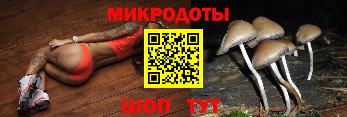 Галлюциногенные грибы Cubensis  Вход с VPN  Ухта 